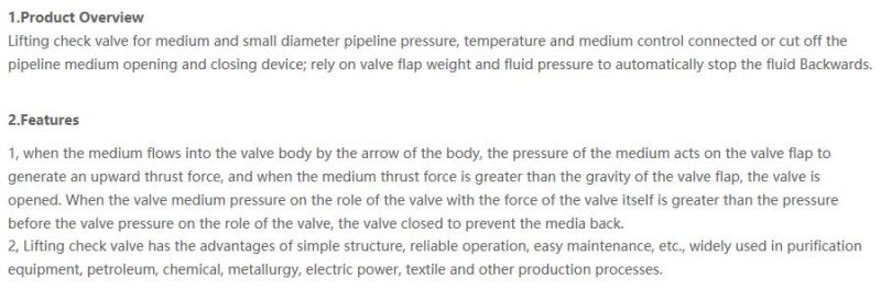 DIN Flange Lift Check Valve