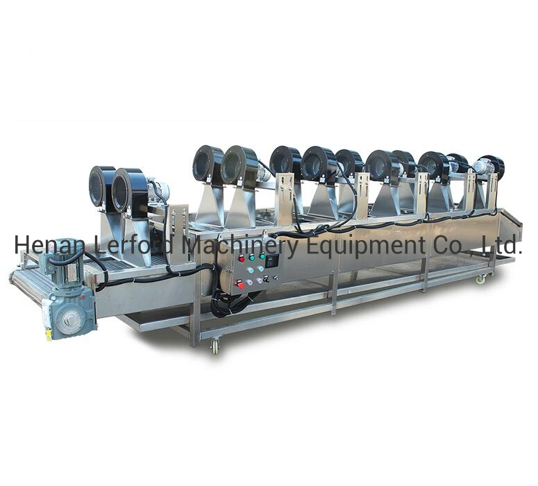 Professional Pretreatment Deep Cooling Fruits and Vegetables Ice Water Precooler Machine