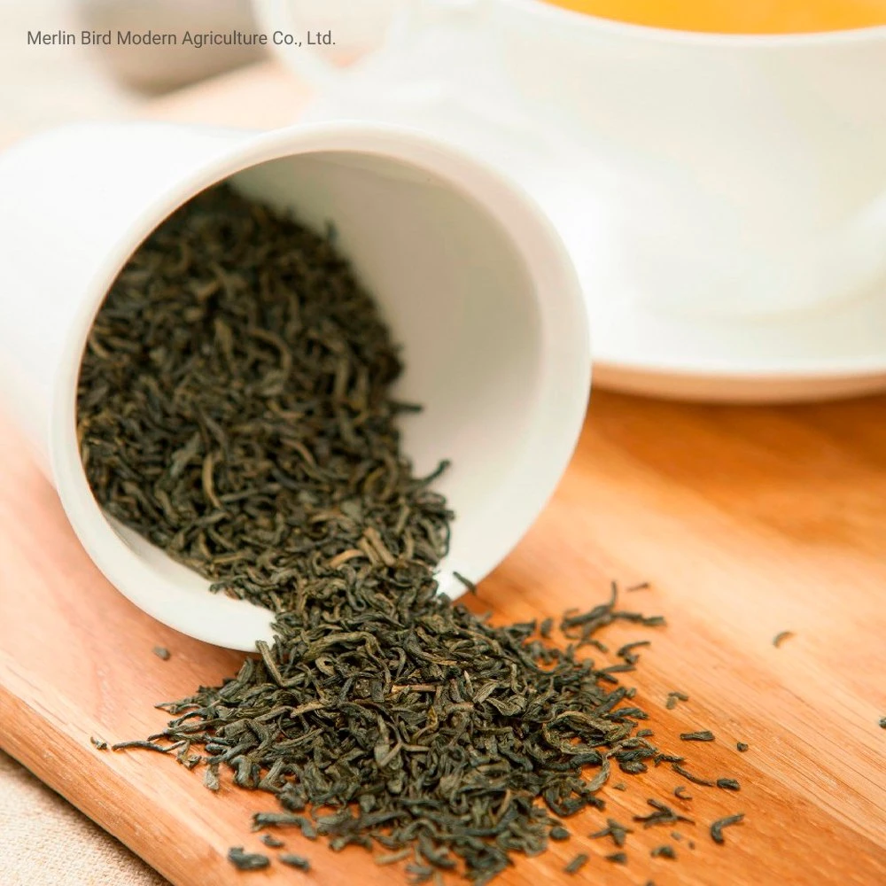 Cheap Price Chinese Chunmee Green Tea