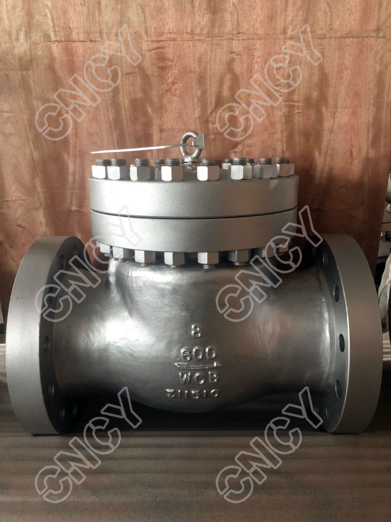 DIN Wcb Carbon Steel Check Valve High Quality