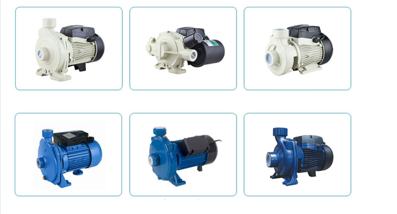 Electric Irrigation Self-Priming Centrifugal Water Pump with Check Valve