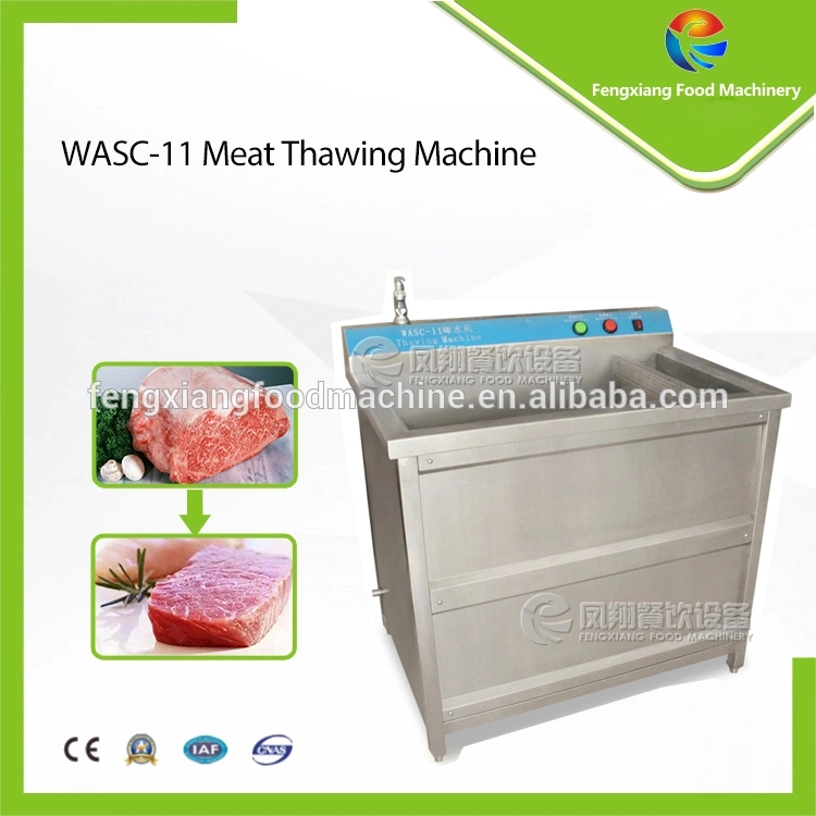 Bubble Washing Vegetable Temperature Adjustable Frozen Meat Thawing Machine