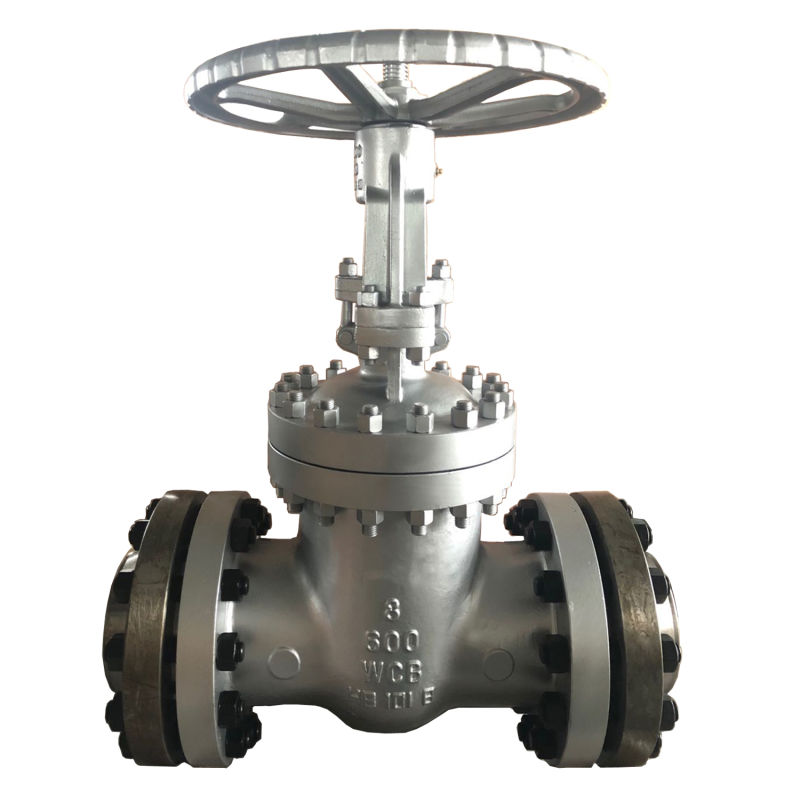 API 600 150lb/300lb Wcb Stainless Steel Flanged OS&Y Industrial Ss Gate Valve Cast Iron Gate Valve Globe Valve