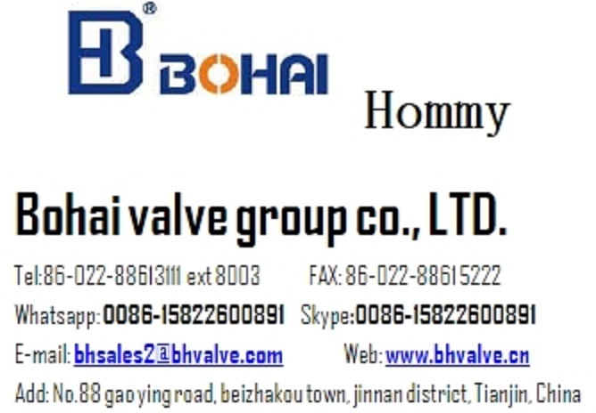 Gate Valve with Steam Tracing Industrial Ductile Iron Control
