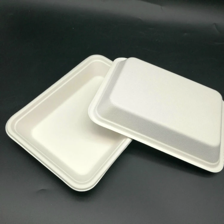 Eco Food Packaging FDA Sugarcane Bagasse Disposable Fast Food Tray Biodegradable Meat Trays for Supermarket