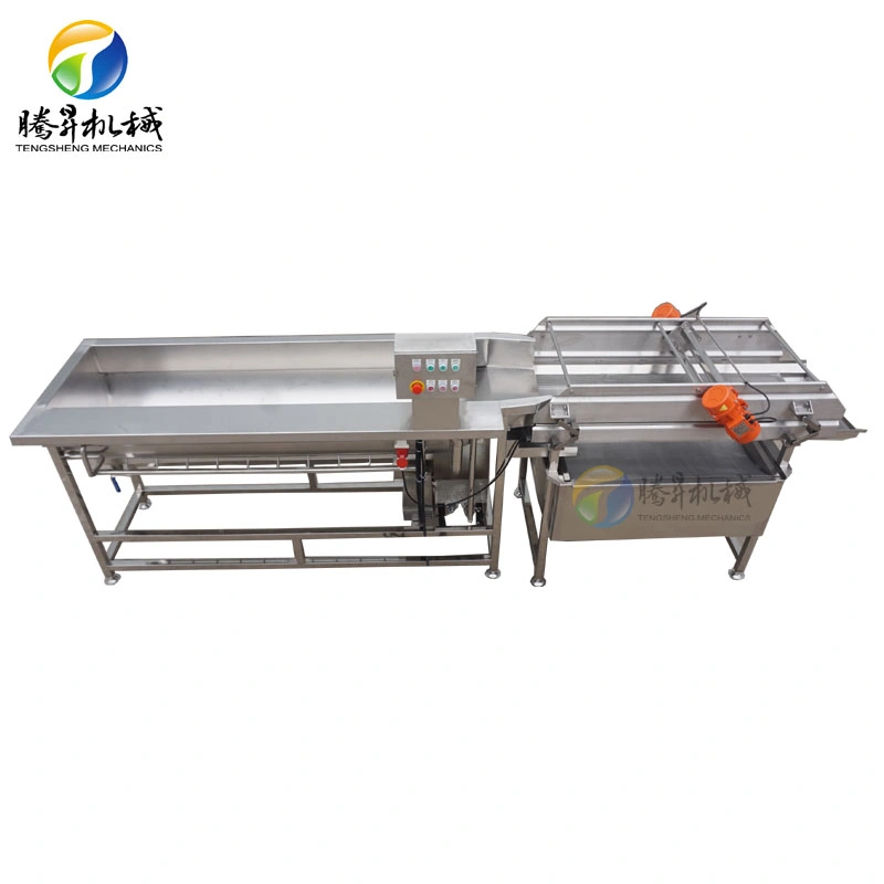 Vegetable Washing Machine Industrial Large Fruit Washing Machine Ozone Meat Washing Machine (TS-X680)