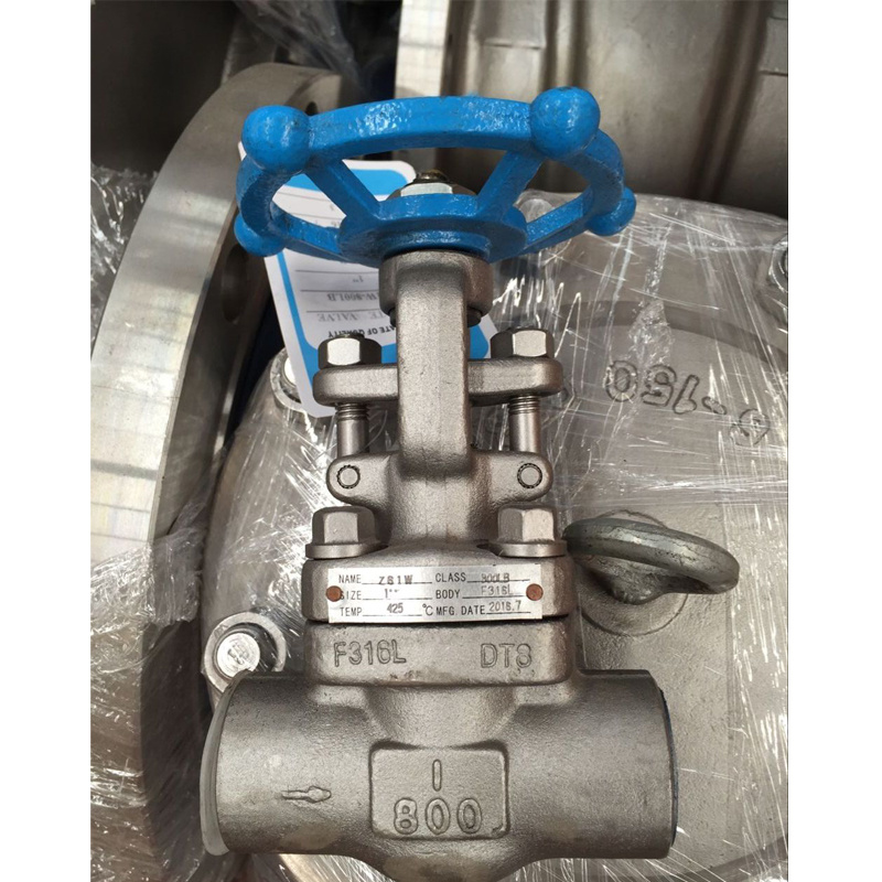 Forged Steel A105 Globe Valve with Threaded End