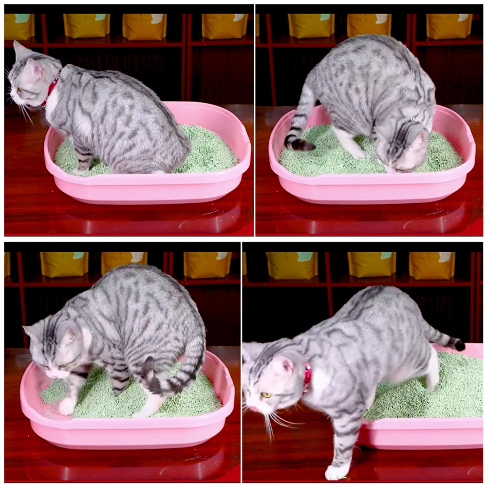 Pet Dust-Free Original Strong Water Absorption Sand Deodorant Plant Tofu Cat Litter