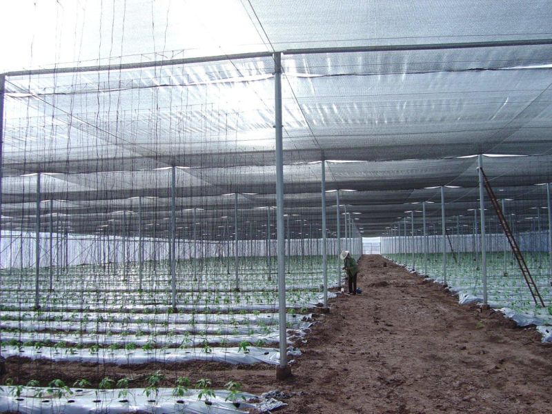 Safety Net Shade Net Scaffolding Net with UV 3years