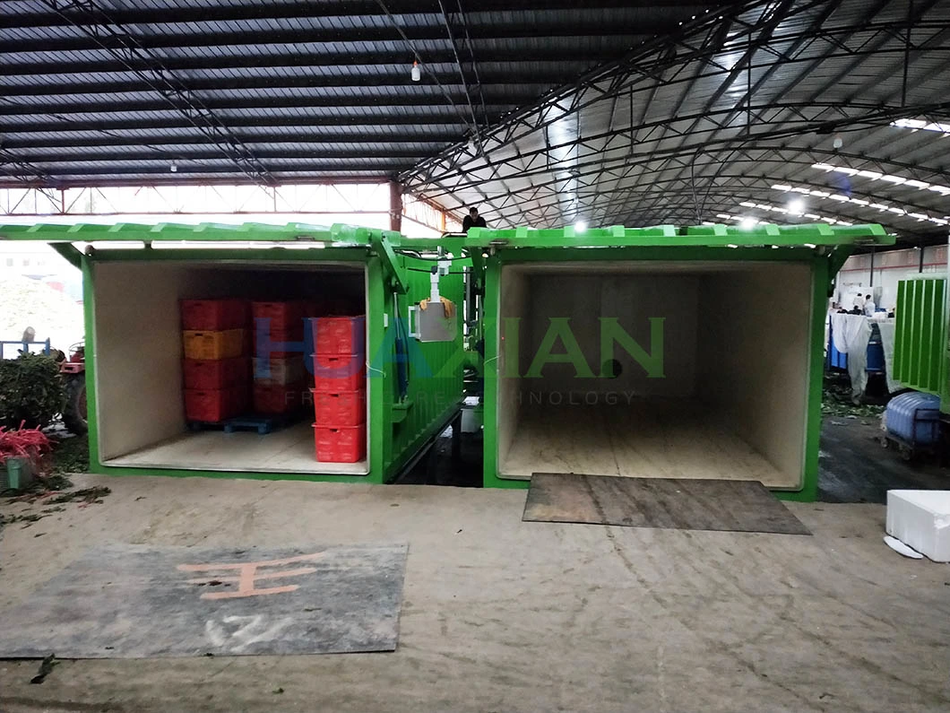 6000kg/Cycle 20~30 Mins Fast Cooling Vegetable/Fruit/Mushroom Agriculture Vacuum Cooler Machine