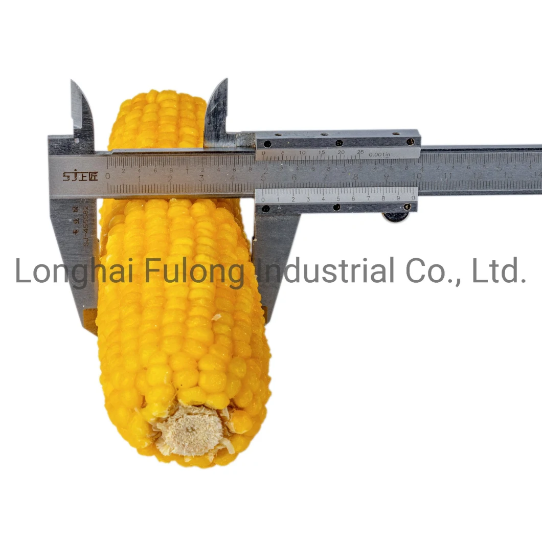 Frozen Yellow Sweet Corn Cut/IQF Sweet Corn Kernels