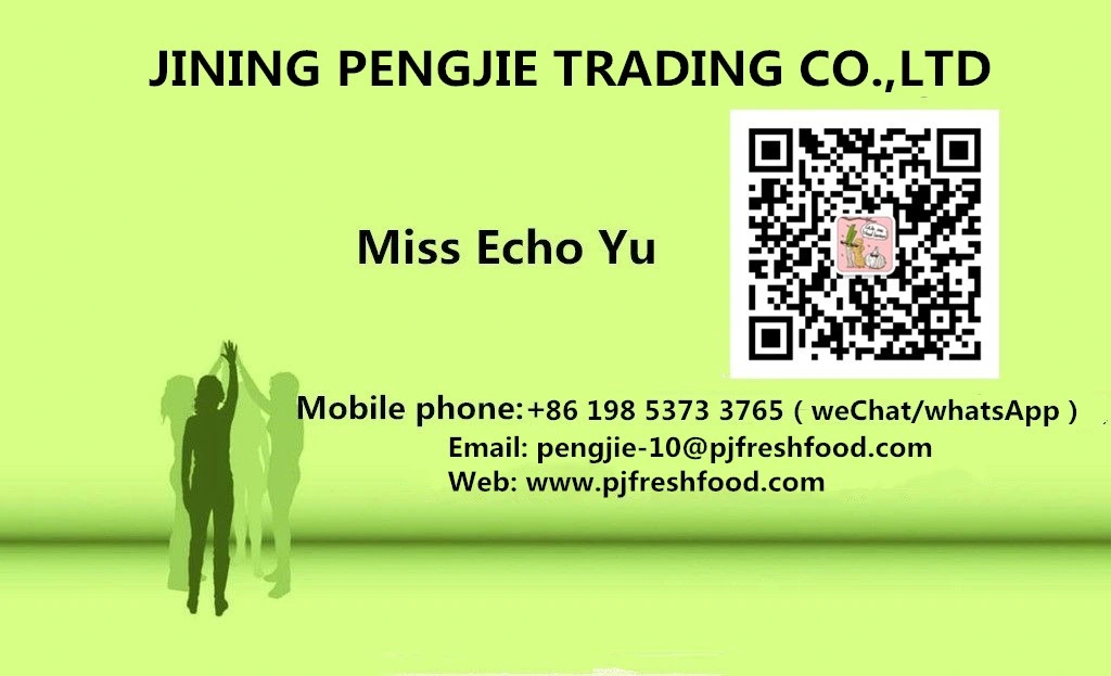 Ginger Ginger Ginger Fresh Ginger Price From China