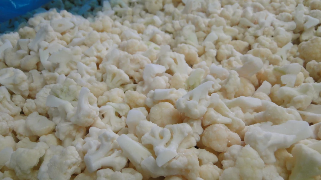 Wholesale Price for Fresh White Cauliflower Florets Bulk Frozen Cauliflower