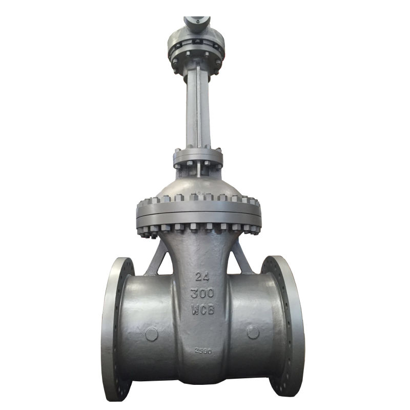 ANSI API Carbon/Stainless Steel Flanged Rising Metal Seated Gate Valve Shut off Valve PVC Ball Valve Brass Gate Valve