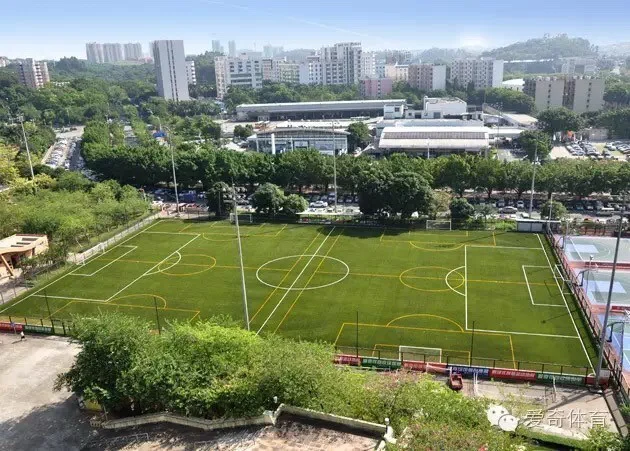 Football Grass, Sports Grass, Artificial Grass for Soccer (Se40)