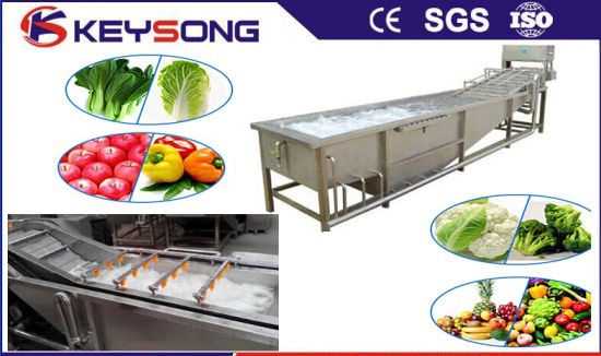 Vegetable Polishing Machine, Fruit Vegetable Washing Machinery