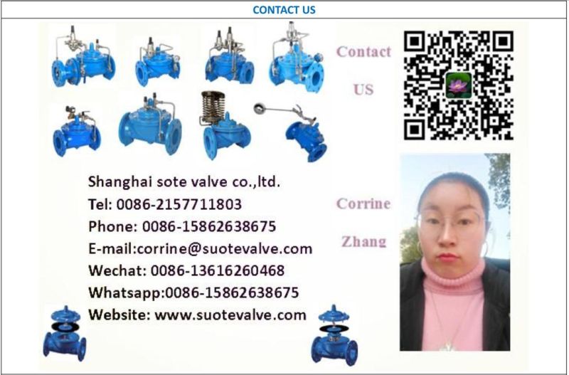 Resilient Seated Gate Valve Rising Stem Gate Valve with Good Quality