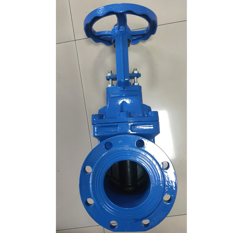 DIN Rising Resilient Seated Gate Valve Ductile Iron Gate Valve Industrial Valve Check Valve Stainless Steel Ball Valve