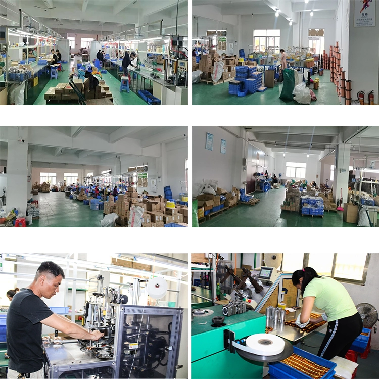 Customized OEM/ODM AC Electric Vacuum Cleaner BLDC Motor Spare Parts