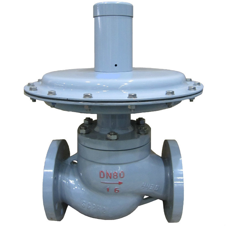 Self-Operated Control Valve/Pneumatic Control Valve