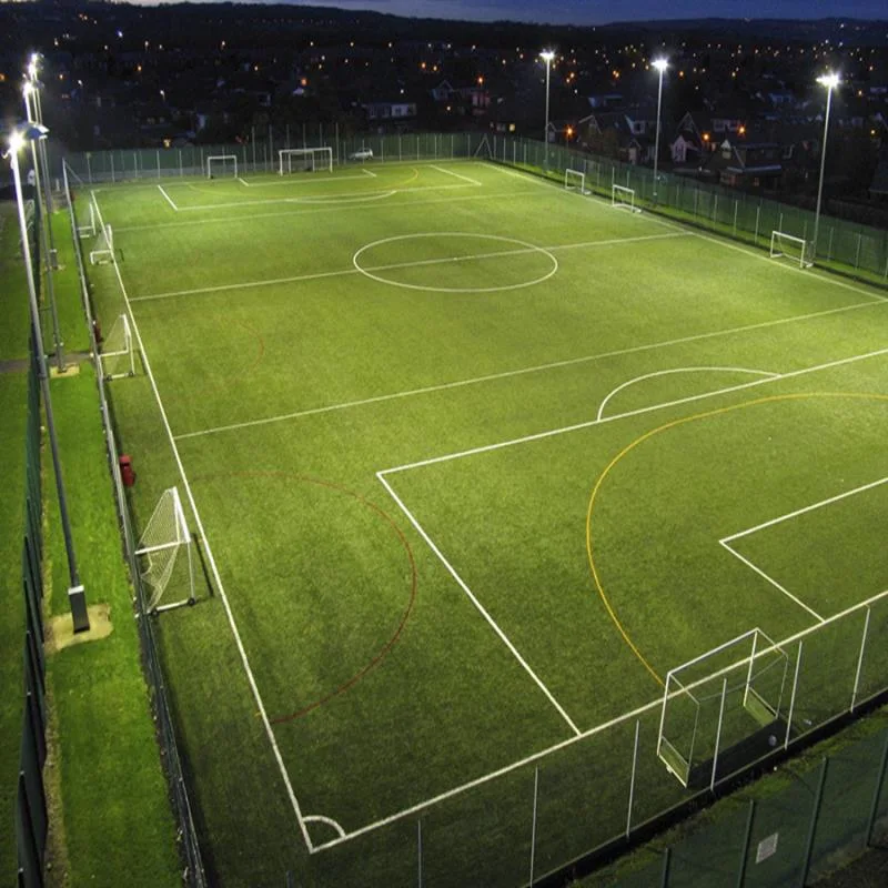 Soccer Sport Artificial Grass for Football (D50)