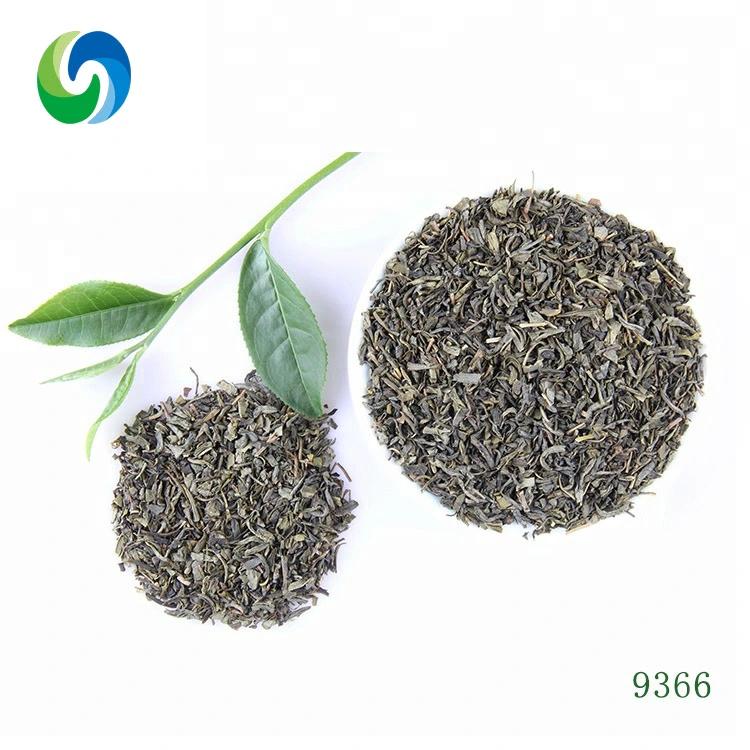 China Chunmee Green Tea 9366 Famous Chinese Fitne Herbal Tea The Vert De Chine