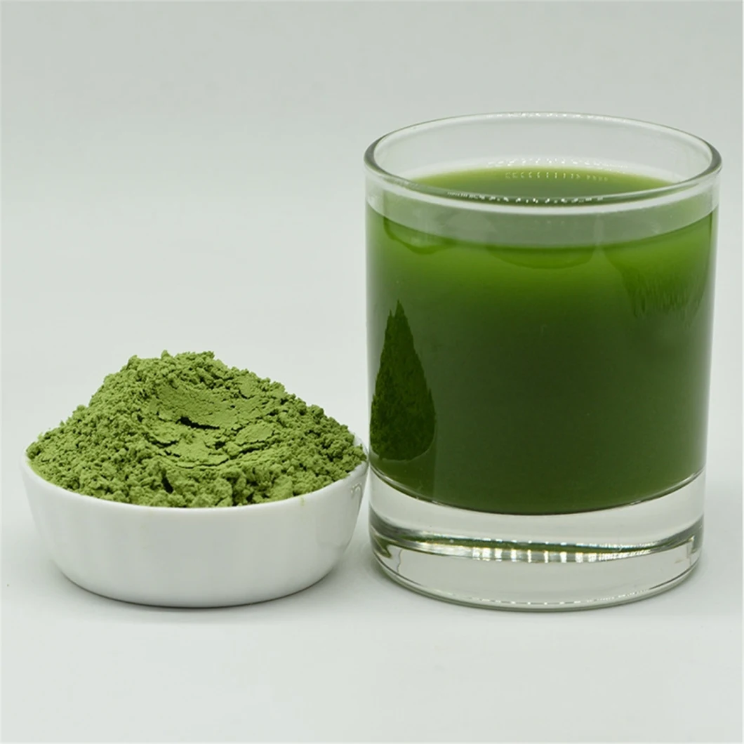 Supply Bulk 100% Natural Organic Weight Loss Material Young Green Juice Barley Grass Powder