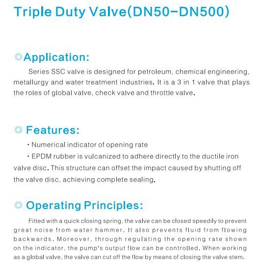 Tripple Duty Valve Flanged Pn16 Globe Valve / Check Valve / Throttle Valve