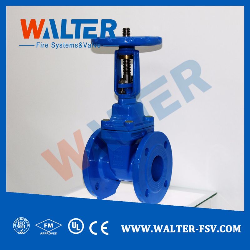 Resilient Seat Non-Rising Stem Gate Valve for Pump