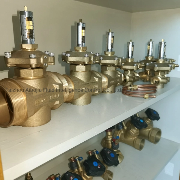 DN15 to DN 50 Automatic Brass Differential Pressure Control Valve