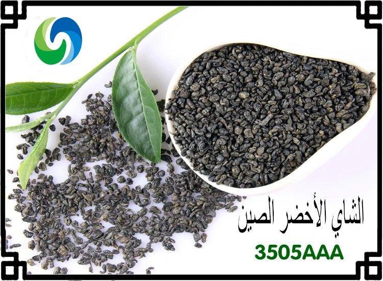 China Gunpowder Green Tea 3505 Price Sultan Tea Blend Tea OEM in Ball Type