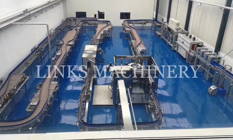 Factory Automatic Carbonated 12000bph 500ml Bottle Beverage Washing Filling Capping Machine