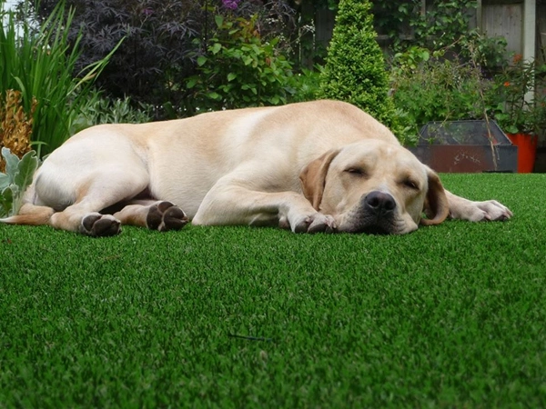 Residential Green-R Synthetic Turf Artificial Grass Pet and Children Friendly