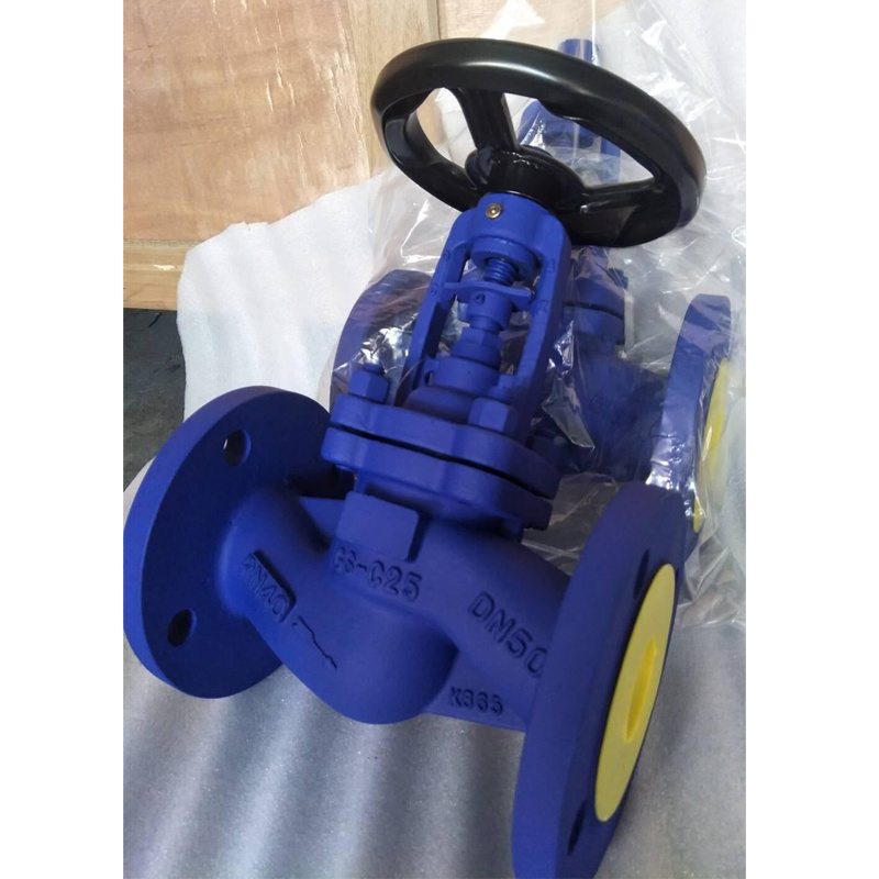 BS/DIN/ANSI/API/GOST Cast Iron Flanged Type RF Bellows Globe Valve Pn16 API Globe Valve Cast Iron Globe Valve