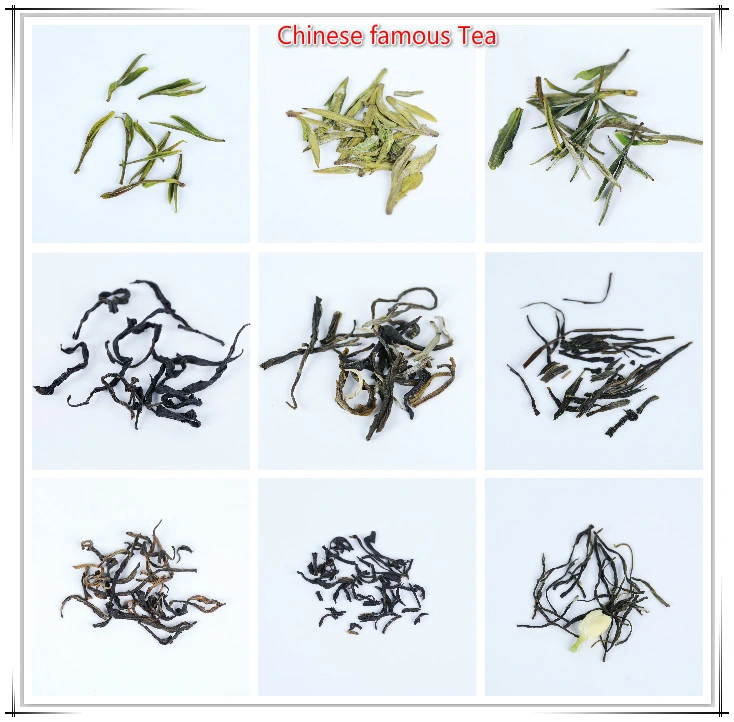 Special Chinese Green Tea Zisun Tea Luyu Tea