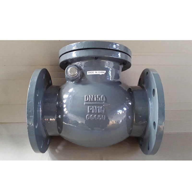BS5153 Cast Iron Flanged End Swing Check Valve Pn16 Piston Check Valve Inline Check Valve Bray Butterfly Valves Wafer Type Check Valve