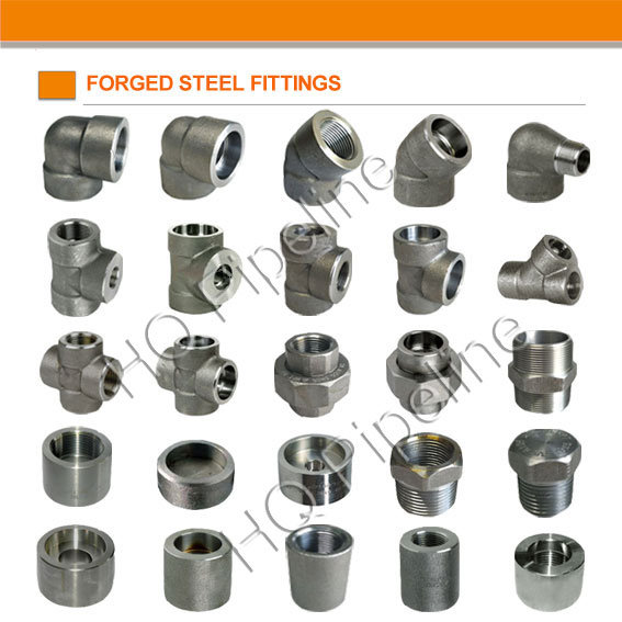 Stainless Steel Carbon Steel 6000lbs Hex Plug Forged Pipe Fittings