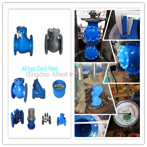 Foot Type Check Valve Ductile Iron + Strainer, Check Valve with Flange End