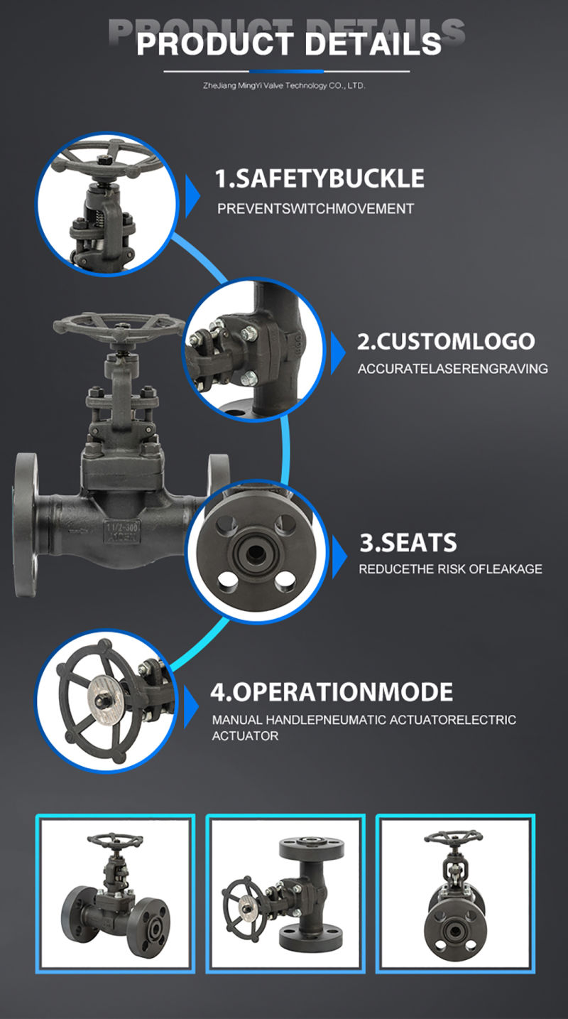 Stainless Steel F316h High Pressure Sealed Contoal Globe Valves2500lb API Standard Full Bore Globe Valve