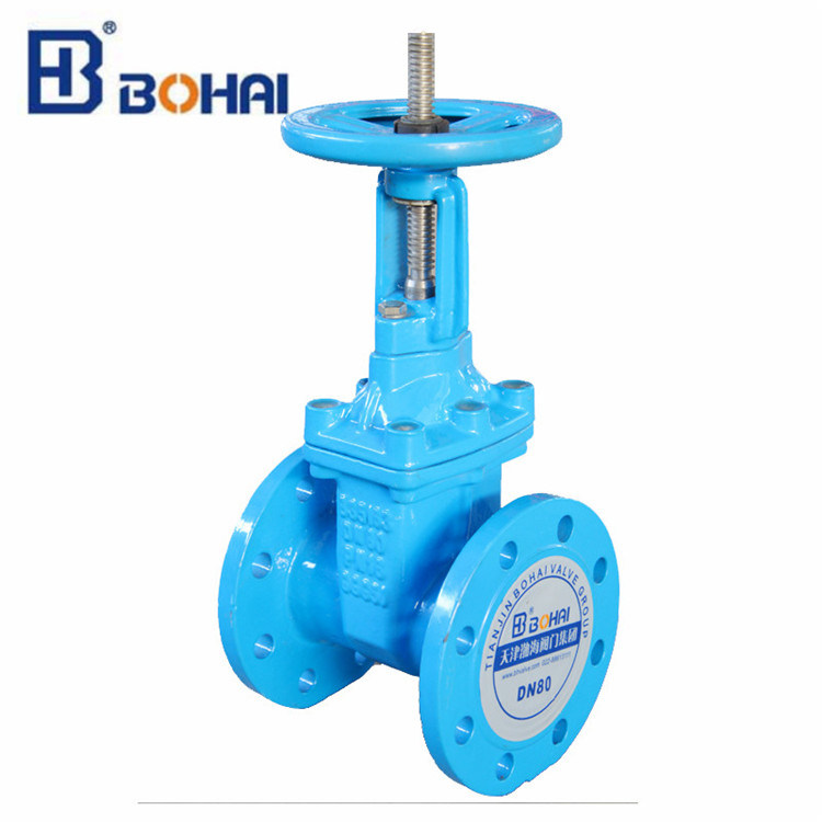 Gate Valve with Industrial Rising Resilient Seat