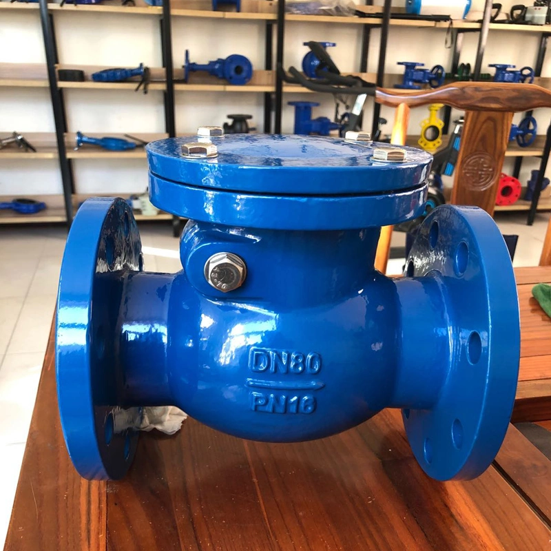 DIN 3202 Brass Seat Swing Check Valve Pn16 Check Valves for Water One Way Check Valve Gate Valve Types Hydraulic Check Valve