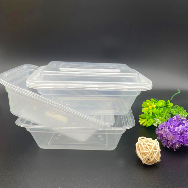 Eco-Friendly Plastic Fruit Container Lunch Box Disposable PP Plastic Food Container
