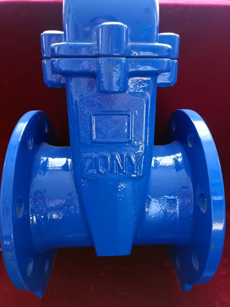 Pn16 API600 Soft Seal No-Rising Gate Valve Sluice Valve Water Gate Vlave