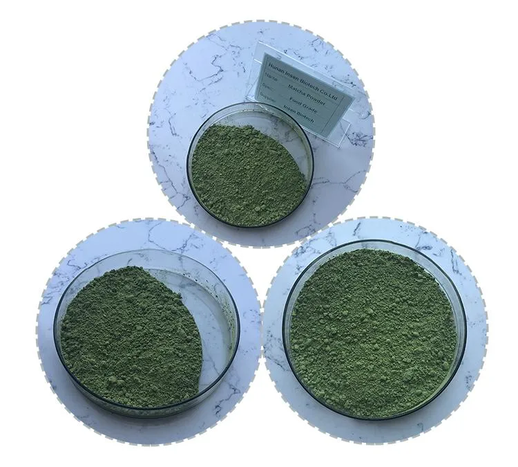 100% Natural Tea Matcha Powder Organic Matcha Powder
