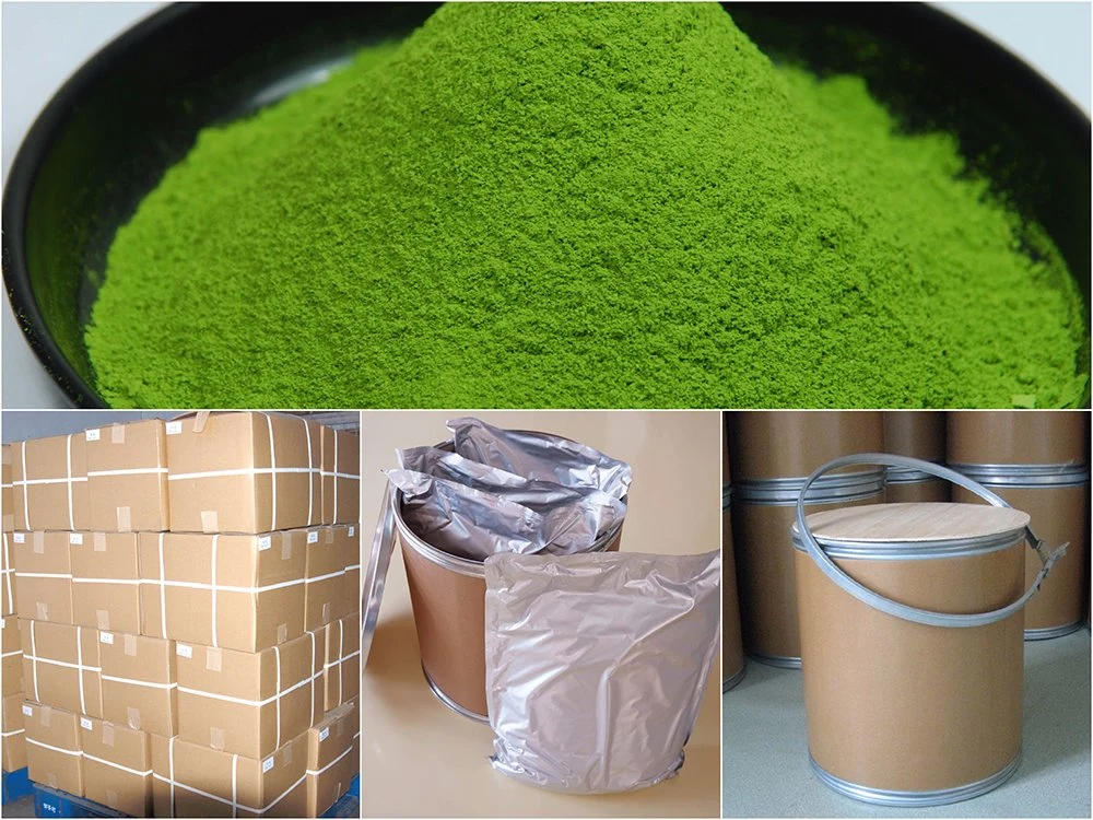 Matcha Super Green Tea Powder Japanese Style 100% Organic EU Nop Jas Certified Small Order Avaliable