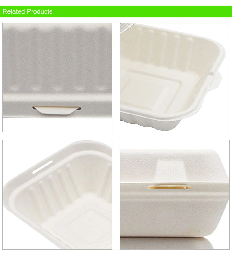 Fast Food Take-out Box Sugarcane Bagasse Disposable Biodegradable Fast Food Packing Box Container Food Containers