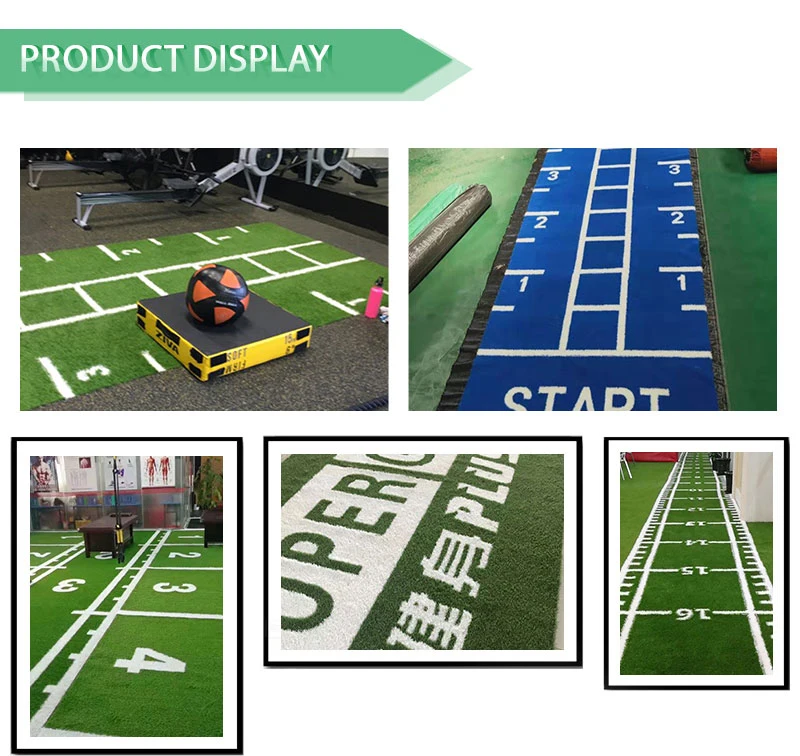 Artificial Turf Football Field Artificial Grass for Football
