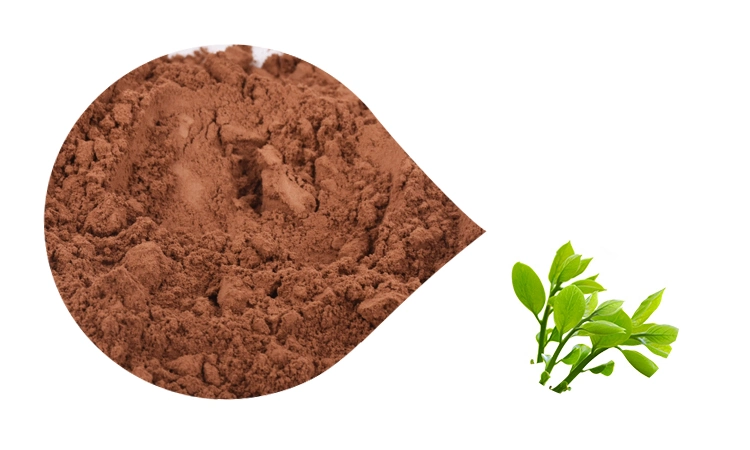 Click High Quality L Theanine Powder Organic Green Tea Extract From China