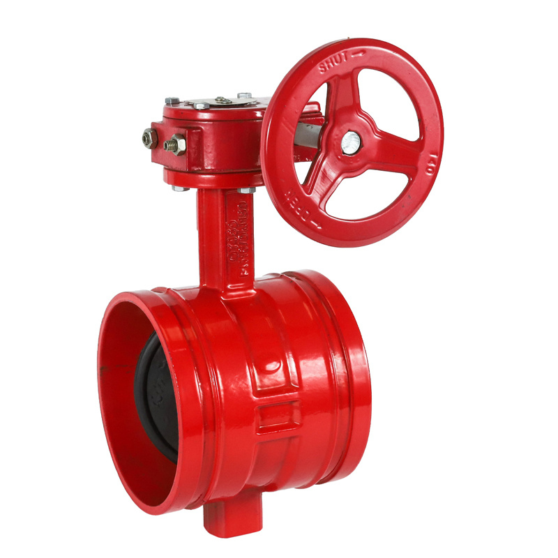 API 609 Ci/Di/Wcb/Lcb/Ss Groove Butterfly Valve with Manual Operation Gate Valve Water Valve Check Valve