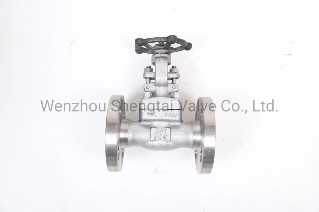 API Integral Flange Wedge Gate Carbon Steel Forged Steel Stainless Steel Gate Valve (Z41H-300LB-DN25)